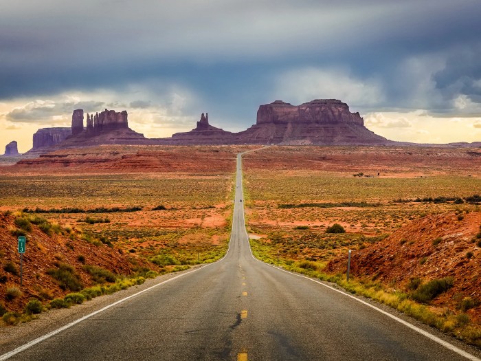 Scenic road trips in the USA